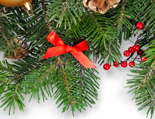 Season’s Greetings & Happy New Year!