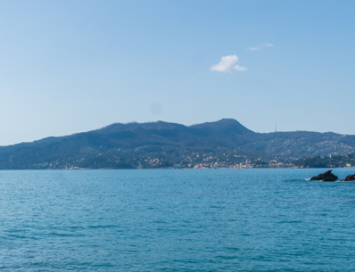 Premio da 3.000 euro per una tesi magistrale sulla sostenibilità nel Tigullio